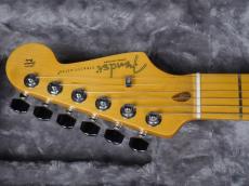 Fender American Professional II Stratocaster Roasted Pine_5