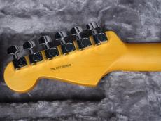 Fender American Professional II Stratocaster Roasted Pine_9