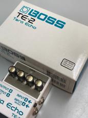 BOSS TE-2 Tera Echo_5
