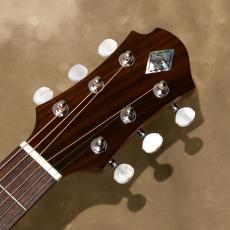 ZEMAITIS CAM-90H, Gloss Green Mother of Pearl_4