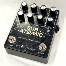 DSM&HUMBOLDT ELECTRONICS SUB ATOMIC【USED】_2