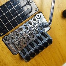 Washburn N4 Nuno Bettencourt Signature【日本製】_6