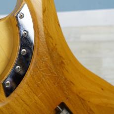 Washburn N4 Nuno Bettencourt Signature【日本製】_7