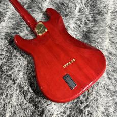 Bill Lawrence BL1R-65G_4