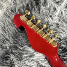 Bill Lawrence BL1R-65G_6