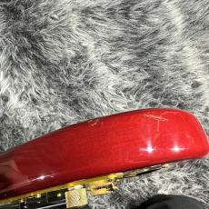 Bill Lawrence BL1R-65G_7