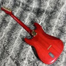 Bill Lawrence BL1R-65G_8