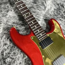 Bill Lawrence BL1R-65G_9