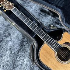 Takamine DMP200 N_3