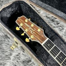 Takamine DMP200 N_4