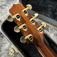 Takamine DMP200 N_9