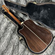 Takamine DMP200 N_10