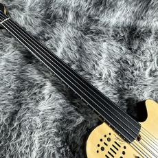 Godin A5 Ultra Fretless_2