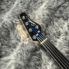 Godin A5 Ultra Fretless_3