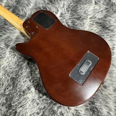 Godin A5 Ultra Fretless_6