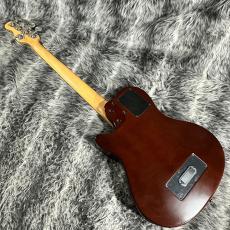 Godin A5 Ultra Fretless_7