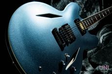 Epiphone Inspired by Gibson Custom Dave Grohl DG-335 / 2024