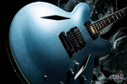 Epiphone Inspired by Gibson Custom Dave Grohl DG-335 / 2024