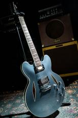 Epiphone Inspired by Gibson Custom Dave Grohl DG-335 / 2024_2