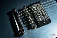 Epiphone Inspired by Gibson Custom Dave Grohl DG-335 / 2024_6