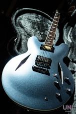 Epiphone Inspired by Gibson Custom Dave Grohl DG-335 / 2024_8