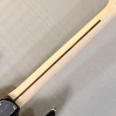 FUJIGEN 【生産終了モデル】EOS2-ASH-M 2-Tone Sunburst #H240771【3.67kg】_9