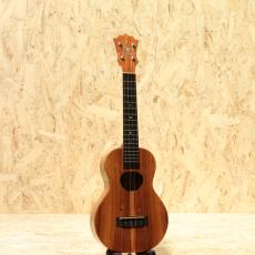 KoAloha KCM-00 Concert 2020_3