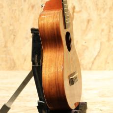 KoAloha KCM-00 Concert 2020_4