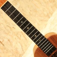 KoAloha KCM-00 Concert 2020_6