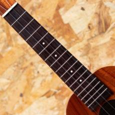 Kamaka HF-1 100th Soprano  2016_6