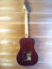 Fender Acoustic / Alkaline Trio Malibu (Original Modify)_4