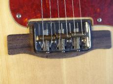 Fender Acoustic / Alkaline Trio Malibu (Original Modify)_5