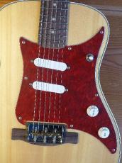 Fender Acoustic / Alkaline Trio Malibu (Original Modify)_6