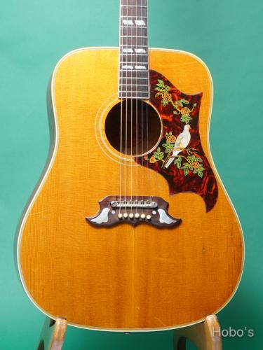 Gibson DOVE Natural