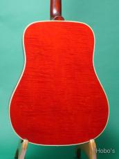 Gibson DOVE Natural_4