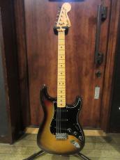 Fender 1977 Stratocaster Sunburst / Maple