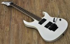 FERNANDES FGZ-STANDARD