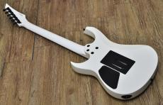 FERNANDES FGZ-STANDARD_2