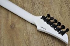 FERNANDES FGZ-STANDARD_4