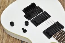 FERNANDES FGZ-STANDARD_7