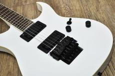 FERNANDES FGZ-STANDARD_8