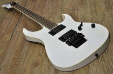 FERNANDES FGZ-STANDARD_9