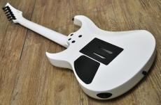 FERNANDES FGZ-STANDARD_11