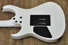 FERNANDES FGZ-STANDARD_12