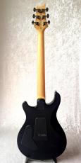 Paul Reed Smith [PRS] SE Swamp Ash CE 24 Sandblasted LTD 2S_3