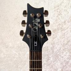 Paul Reed Smith [PRS] SE Swamp Ash CE 24 Sandblasted LTD 2S_4