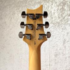 Paul Reed Smith [PRS] SE Swamp Ash CE 24 Sandblasted LTD 2S_5