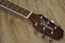 Takamine TDP70S SBN_5