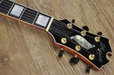 D'Aquisto DQ-JZ  Jazz Line_5