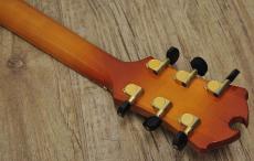 D'Aquisto DQ-JZ  Jazz Line_6